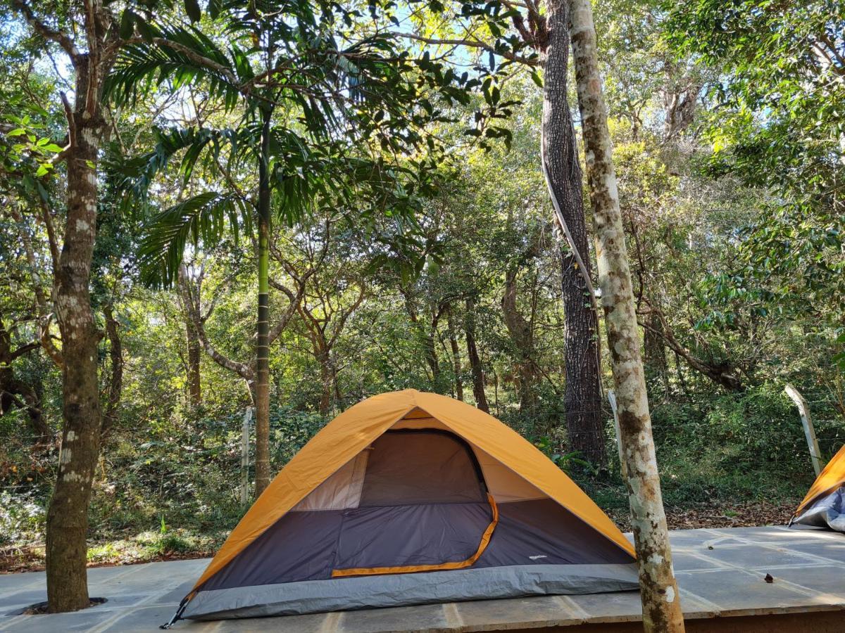 Captain'S Camp Sirsi エクステリア 写真